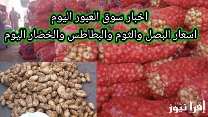 تحمير وشبسي.. أسعار البطاطس اليوم في سوق العبور السبت 3 مايو 2025 وقائمة أسعار الخضار والفاكهة كاملة