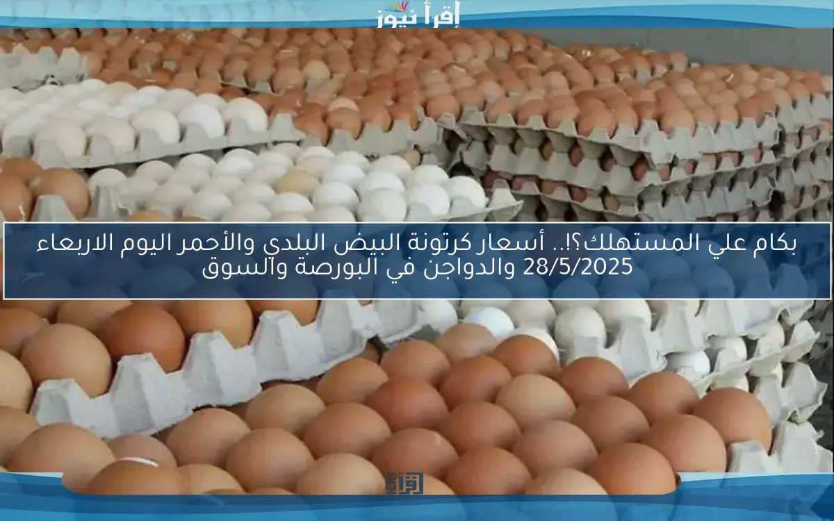 بكام علي المستهلك؟!.. أسعار كرتونة البيض البلدي والأحمر اليوم الاربعاء 28/5/2025 والدواجن في البورصة والسوق