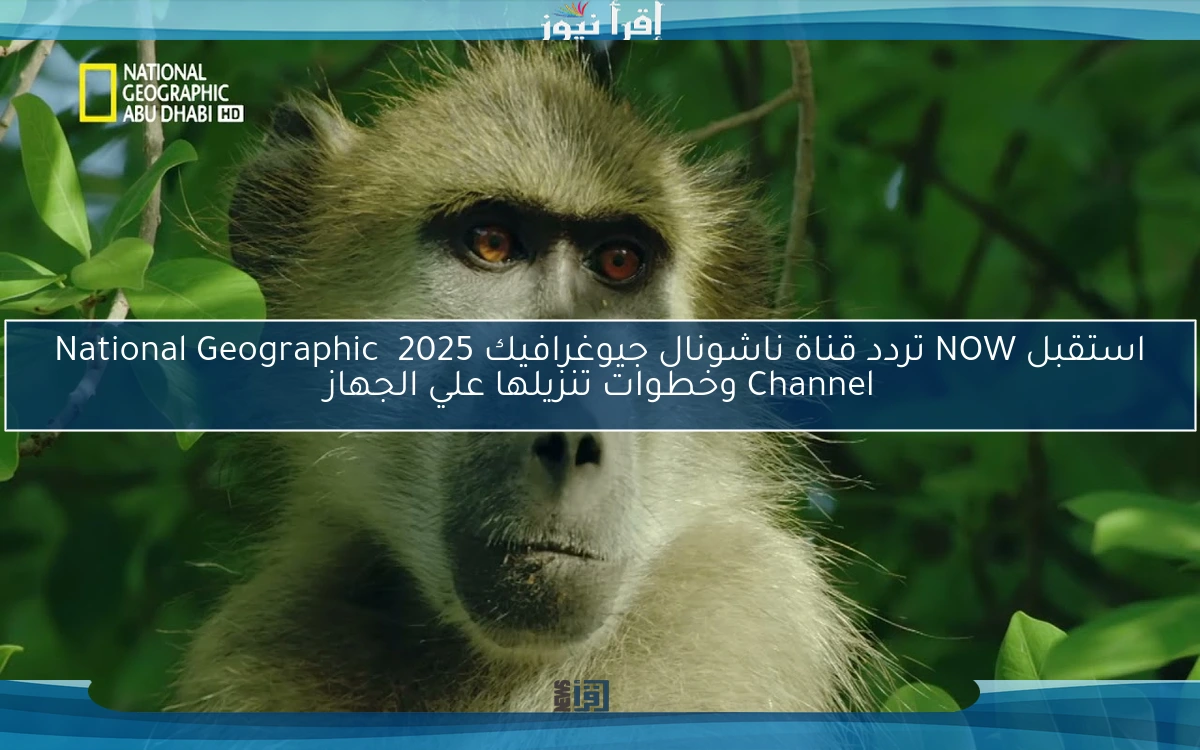 استقبل NOW تردد قناة ناشونال جيوغرافيك 2025 National Geographic Channel وخطوات تنزيلها علي الجهاز
