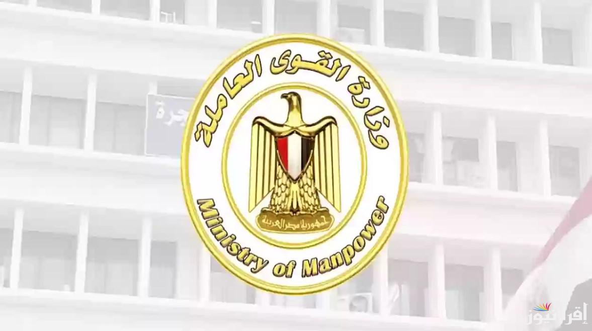 manpower.gov.eg: رابط الاستعلام عن منحة العمالة الغير منتظمة 2025 عبر موقع وزارة القوي العاملة الرسمي واهم الشروط