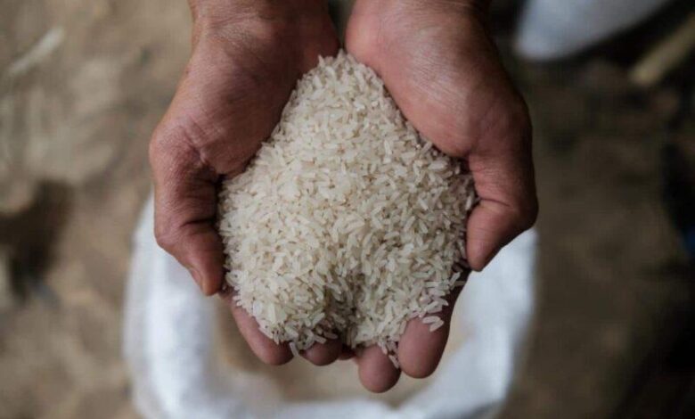 سعر طن الأرز الشعير اليوم