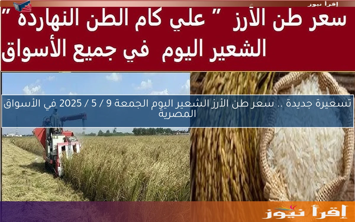 تسعيرة جديدة NOW .. سعر طن الأرز الشعير اليوم السبت 10 / 5 / 2025 في الأسواق المصرية