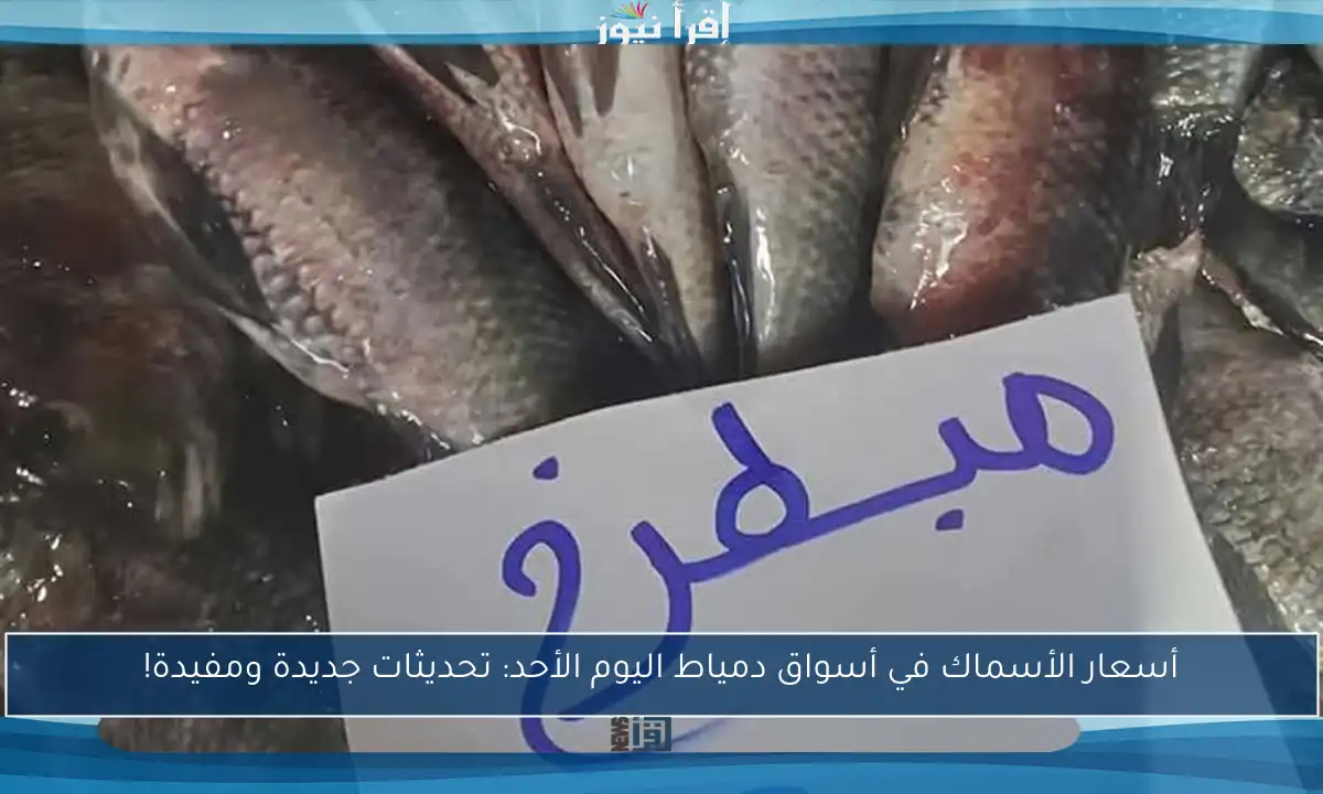 أسعار الأسماك في أسواق دمياط اليوم الأحد: تحديثات جديدة ومفيدة!