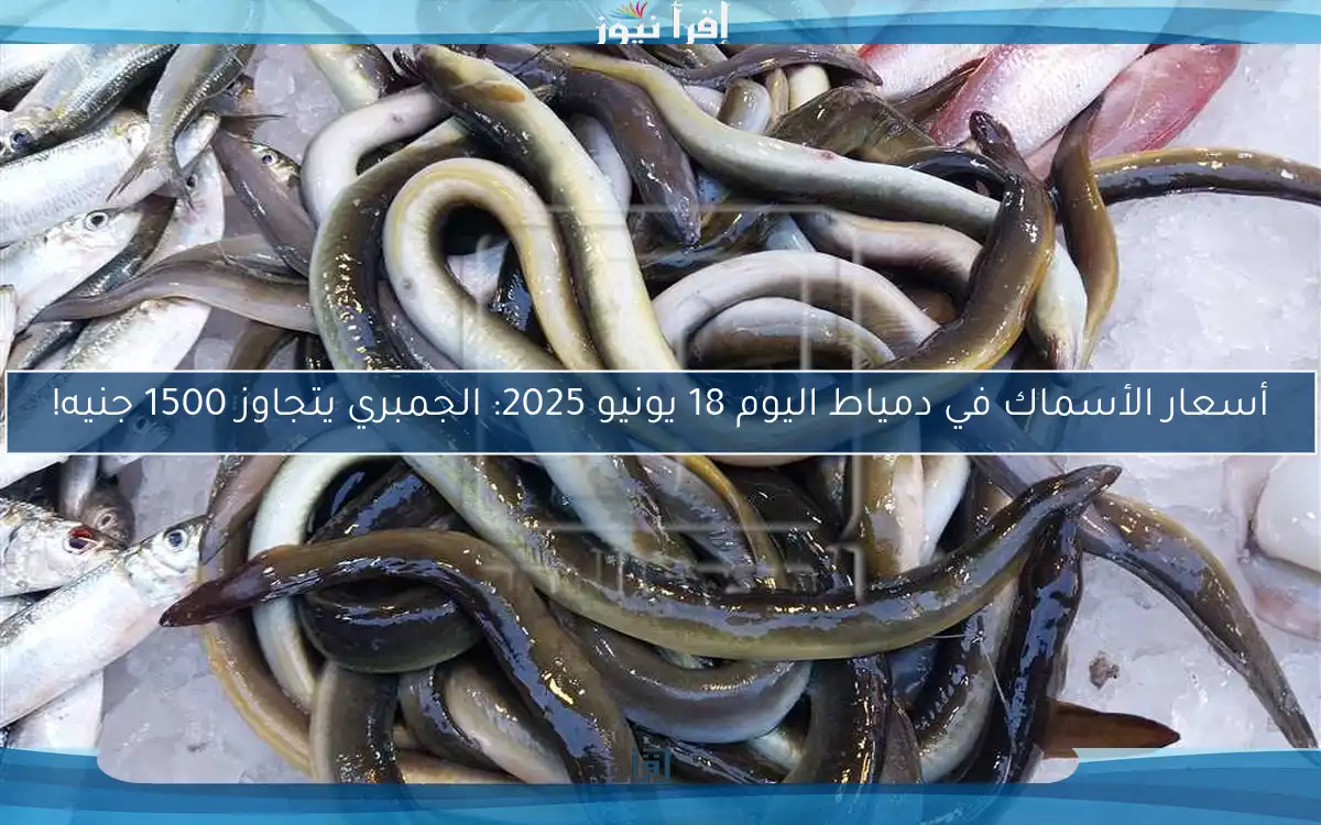 أسعار الأسماك في دمياط اليوم 18 يونيو 2025: الجمبري يتجاوز 1500 جنيه!