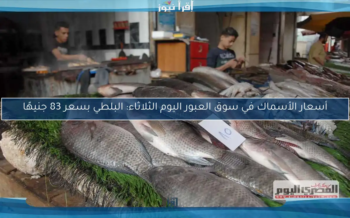 أسعار الأسماك في سوق العبور اليوم الثلاثاء: البلطي بسعر 83 جنيهًا