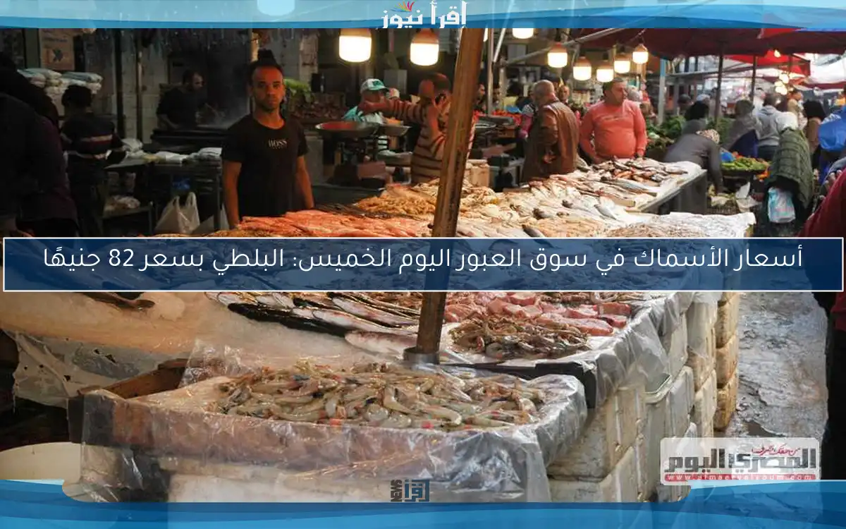 أسعار الأسماك في سوق العبور اليوم الخميس: البلطي بسعر 82 جنيهًا