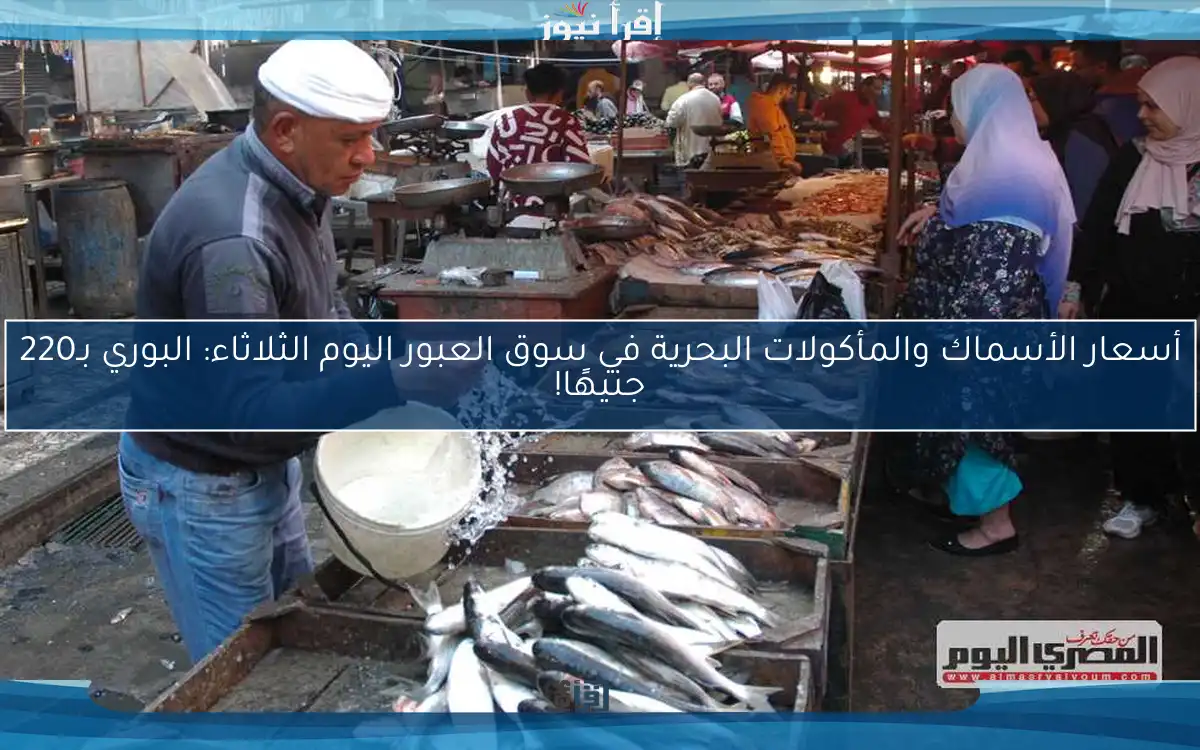 أسعار الأسماك والمأكولات البحرية في سوق العبور اليوم الثلاثاء: البوري بـ220 جنيهًا!