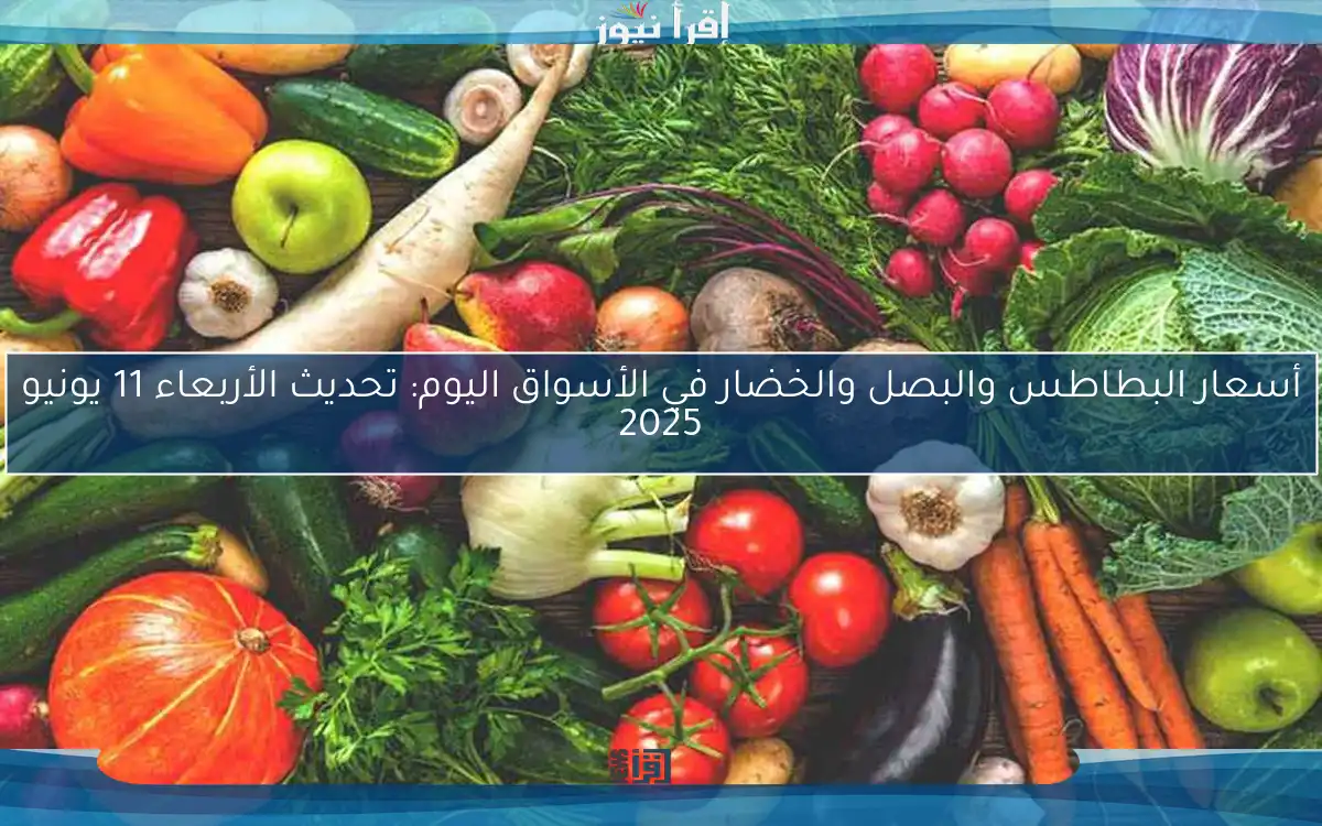 أسعار البطاطس والبصل والخضار في الأسواق اليوم: تحديث الأربعاء 11 يونيو 2025