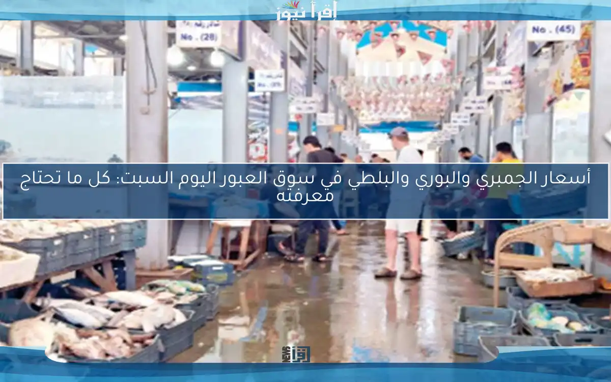 أسعار الجمبري والبوري والبلطي في سوق العبور اليوم السبت: كل ما تحتاج معرفته
