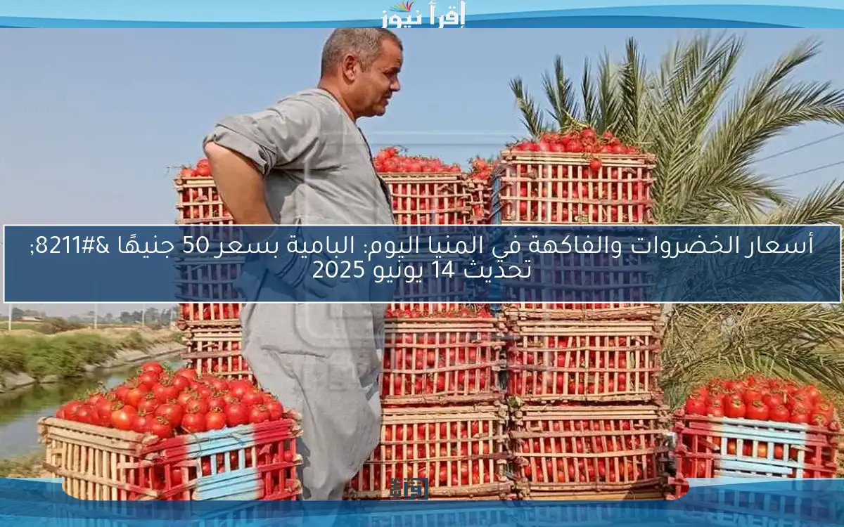 أسعار الخضروات والفاكهة في المنيا اليوم: البامية بسعر 50 جنيهًا – تحديث 14 يونيو 2025