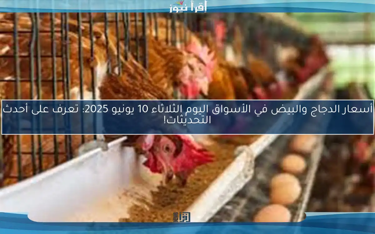 أسعار الدجاج والبيض في الأسواق اليوم الثلاثاء 10 يونيو 2025: تعرف على أحدث التحديثات!