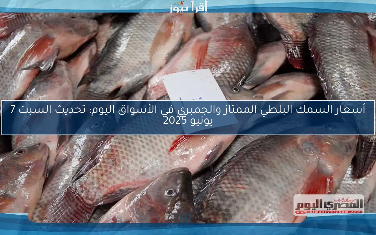 أسعار السمك البلطي الممتاز والجمبري في الأسواق اليوم: تحديث السبت 7 يونيو 2025