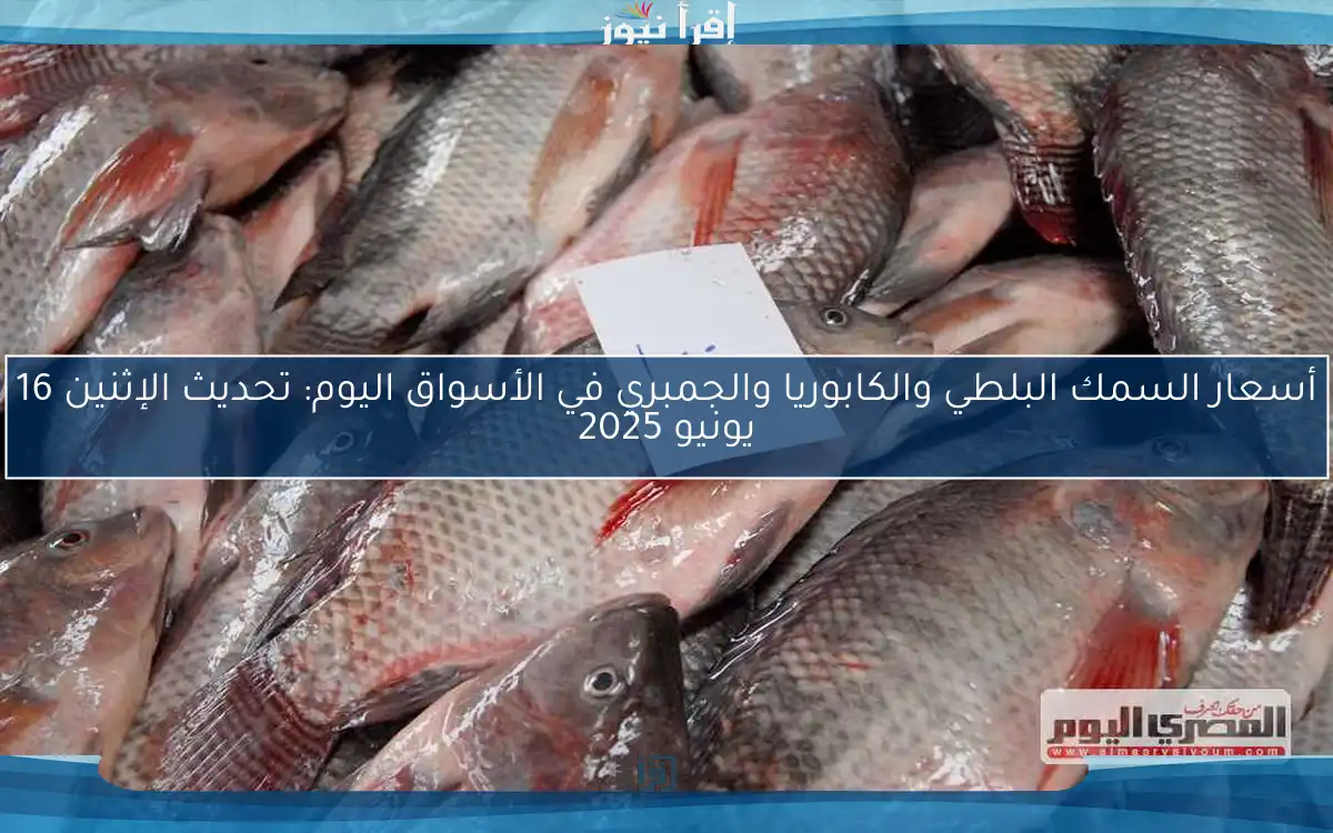 أسعار السمك البلطي والكابوريا والجمبري في الأسواق اليوم: تحديث الإثنين 16 يونيو 2025