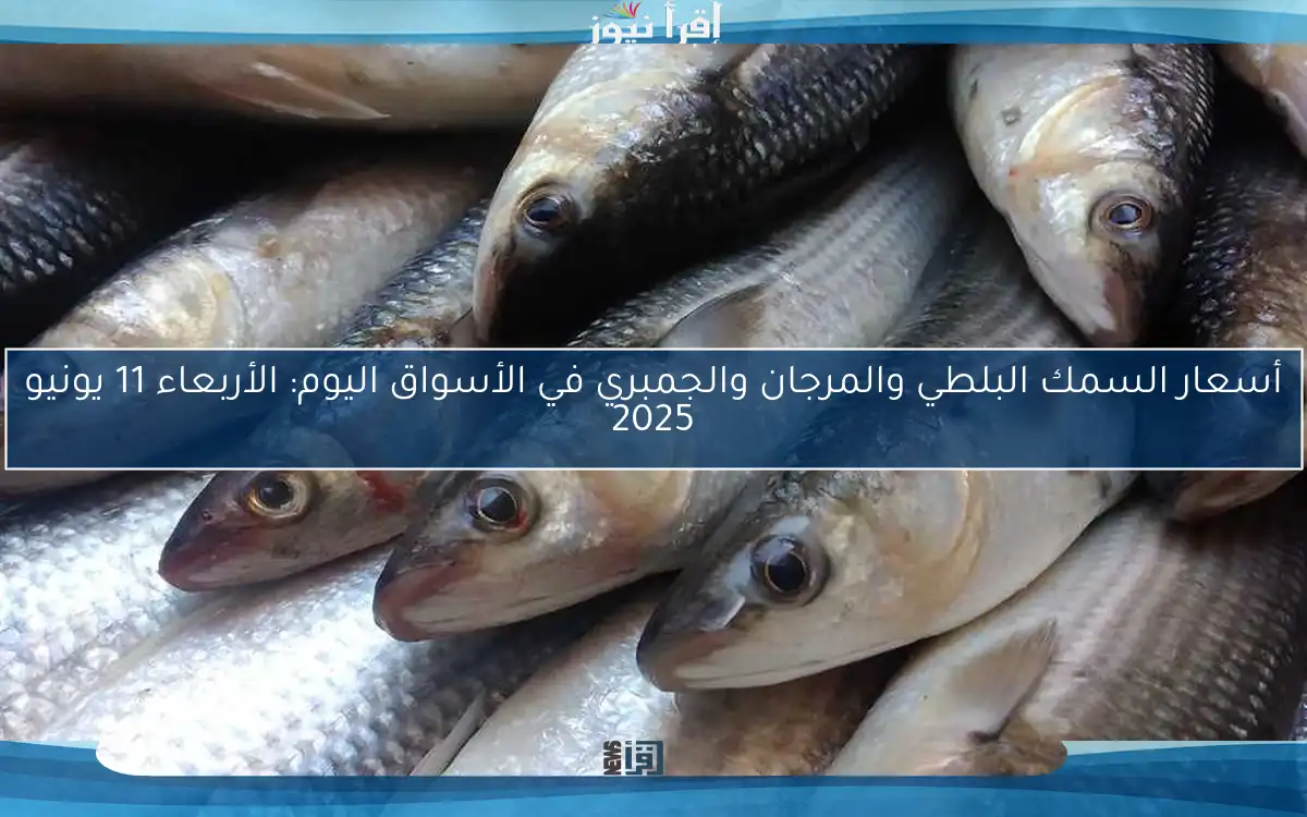 أسعار السمك البلطي والمرجان والجمبري في الأسواق اليوم: الأربعاء 11 يونيو 2025