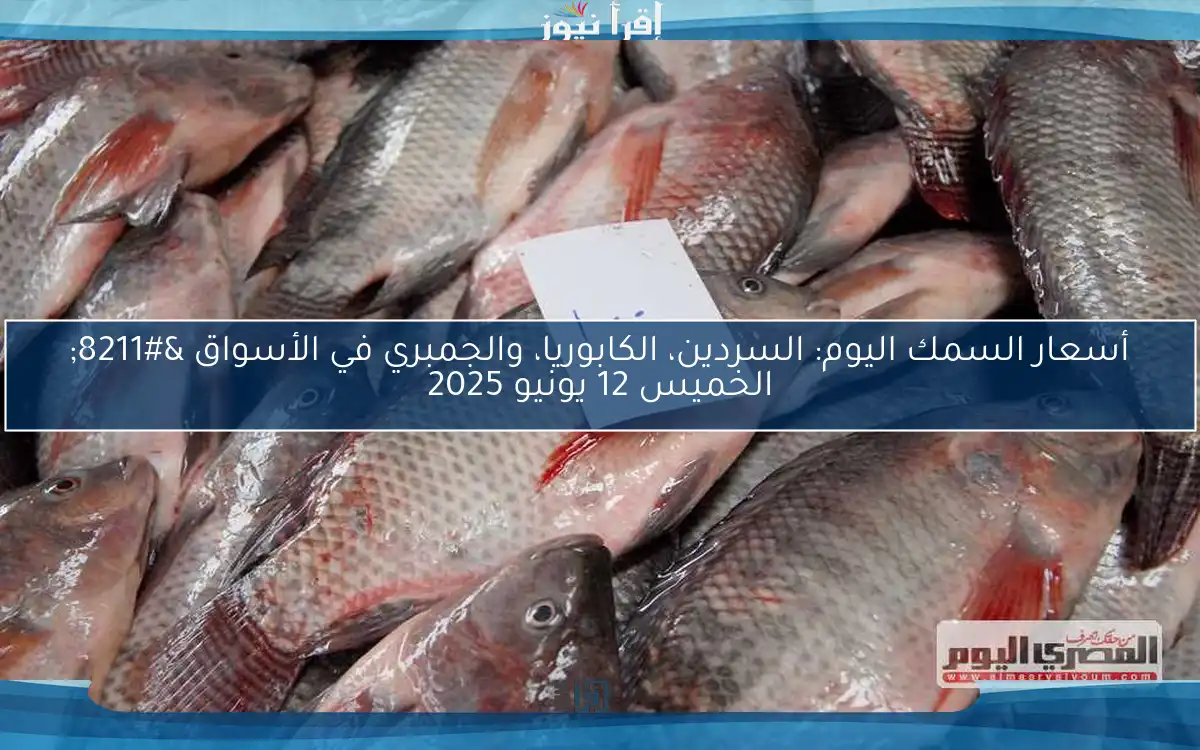 أسعار السمك اليوم: السردين، الكابوريا، والجمبري في الأسواق – الخميس 12 يونيو 2025