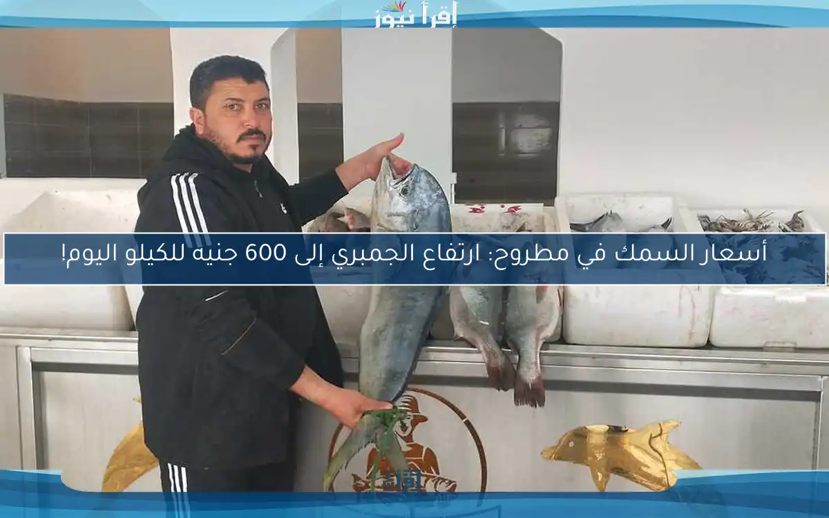 أسعار السمك في مطروح: ارتفاع الجمبري إلى 600 جنيه للكيلو اليوم!