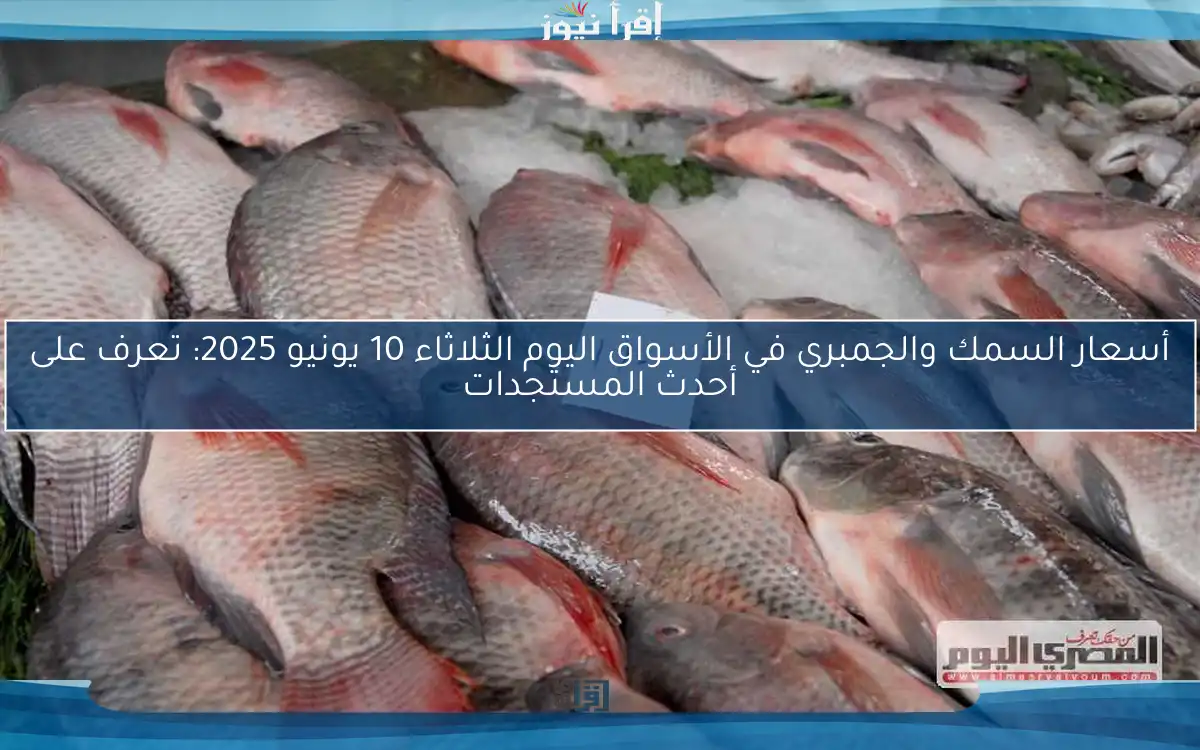 أسعار السمك والجمبري في الأسواق اليوم الثلاثاء 10 يونيو 2025: تعرف على أحدث المستجدات