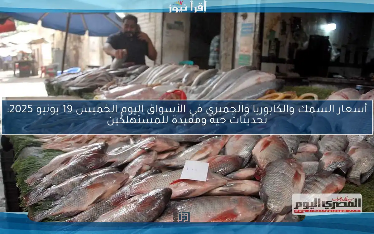 أسعار السمك والكابوريا والجمبري في الأسواق اليوم الخميس 19 يونيو 2025: تحديثات حية ومفيدة للمستهلكين