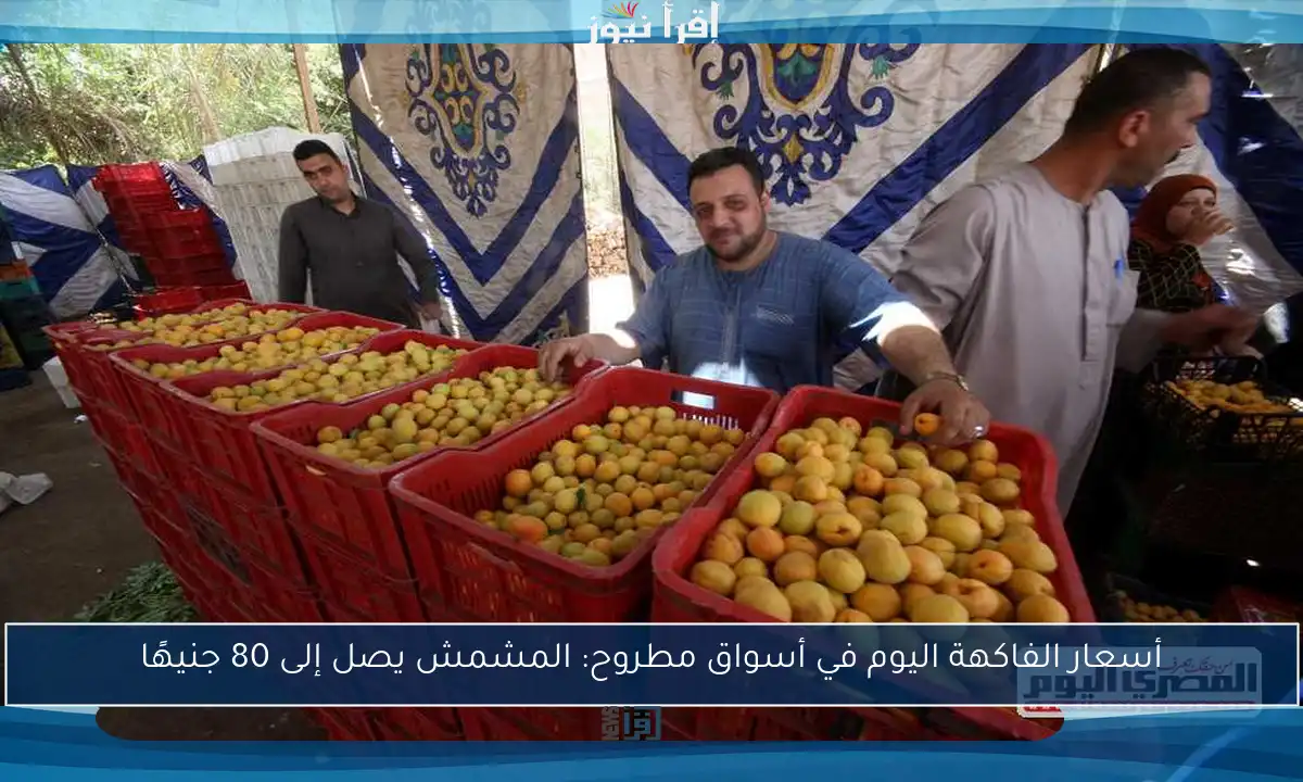 أسعار الفاكهة اليوم في أسواق مطروح: المشمش يصل إلى 80 جنيهًا