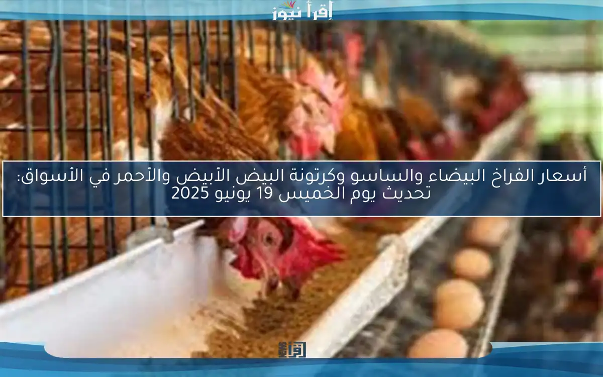 أسعار الفراخ البيضاء والساسو وكرتونة البيض الأبيض والأحمر في الأسواق: تحديث يوم الخميس 19 يونيو 2025