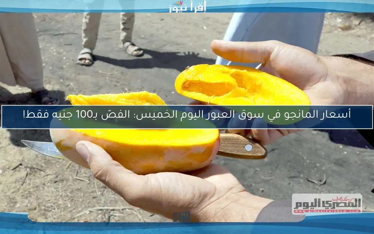 أسعار المانجو في سوق العبور اليوم الخميس: الفصّ بـ100 جنيه فقط!