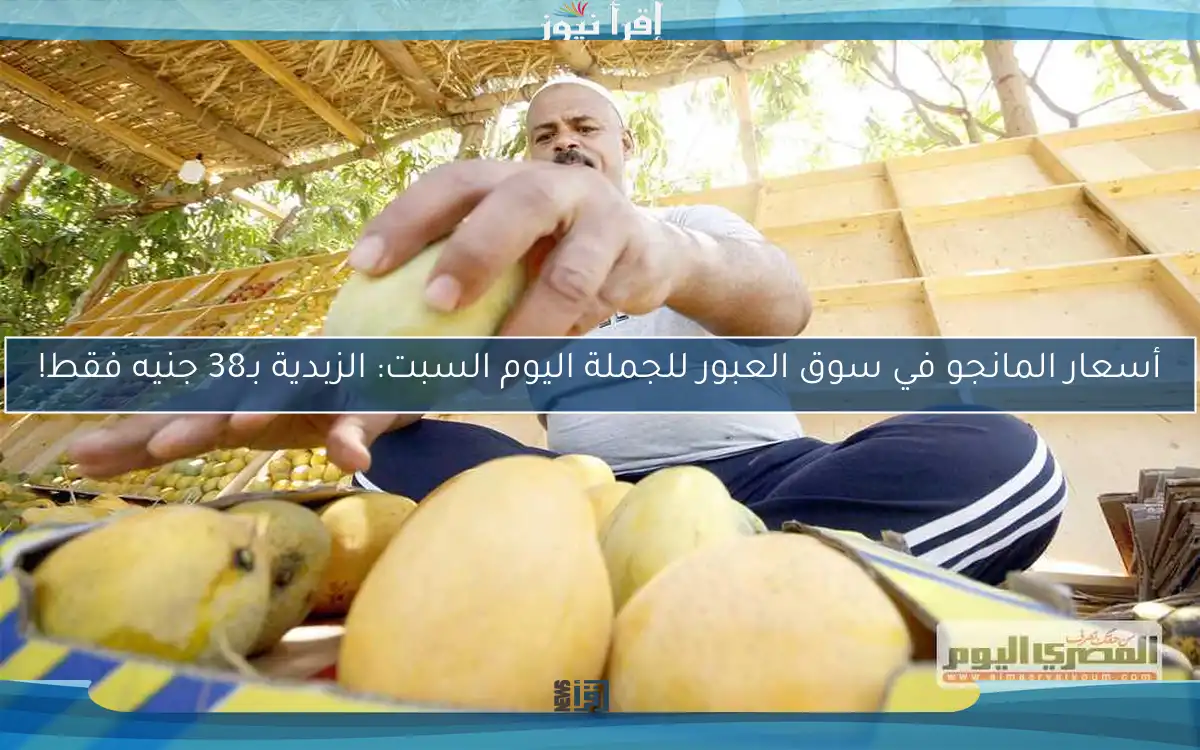 أسعار المانجو في سوق العبور للجملة اليوم السبت: الزبدية بـ38 جنيه فقط!