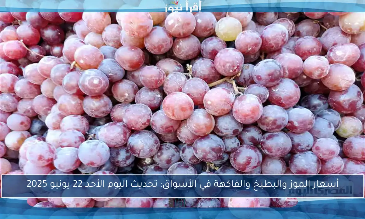 أسعار الموز والبطيخ والفاكهة في الأسواق: تحديث اليوم الأحد 22 يونيو 2025