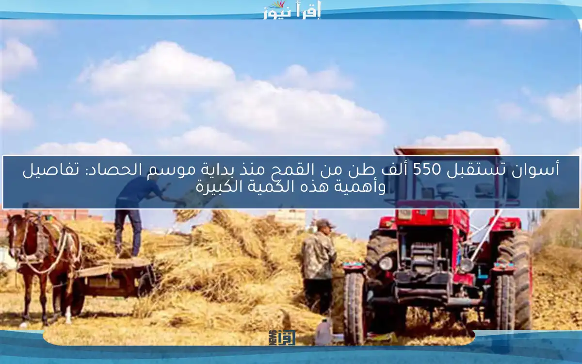 أسوان تستقبل 550 ألف طن من القمح منذ بداية موسم الحصاد: تفاصيل وأهمية هذه الكمية الكبيرة