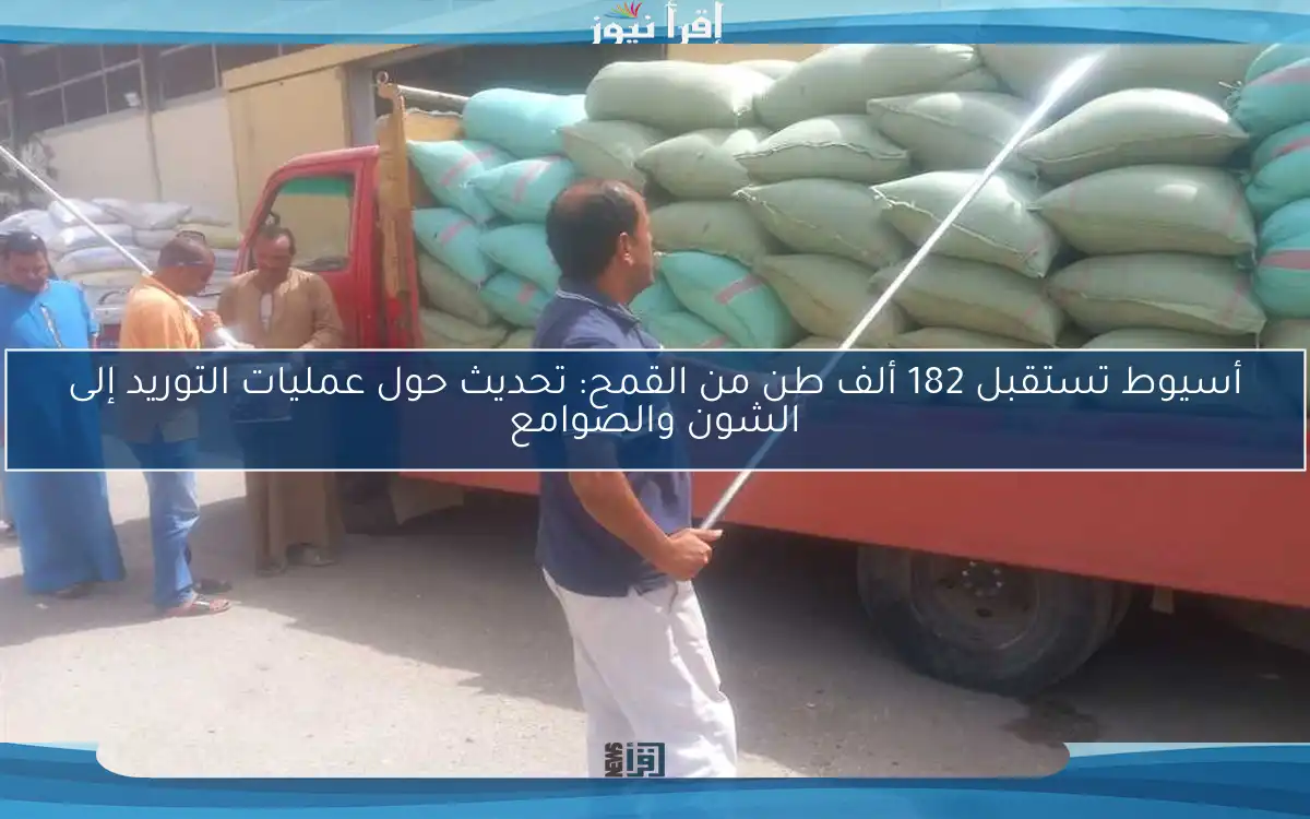 أسيوط تستقبل 182 ألف طن من القمح: تحديث حول عمليات التوريد إلى الشون والصوامع