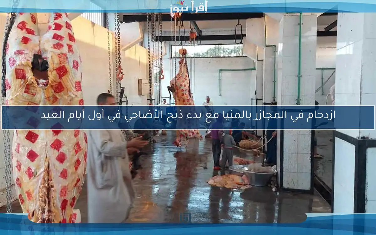 ازدحام في المجازر بالمنيا مع بدء ذبح الأضاحي في أول أيام العيد