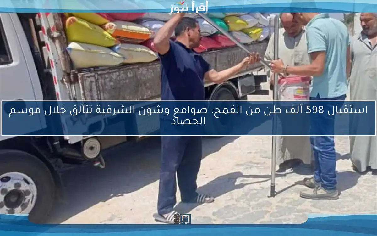 استقبال 598 ألف طن من القمح: صوامع وشون الشرقية تتألق خلال موسم الحصاد
