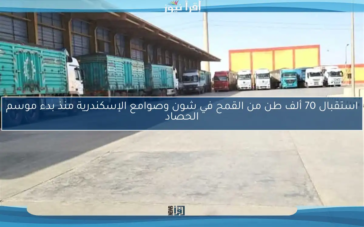 استقبال 70 ألف طن من القمح في شون وصوامع الإسكندرية منذ بدء موسم الحصاد