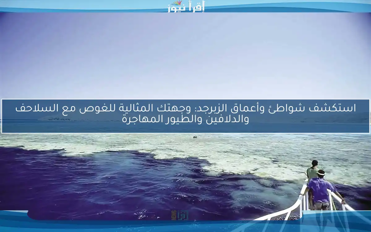 استكشف شواطئ وأعماق الزبرجد: وجهتك المثالية للغوص مع السلاحف والدلافين والطيور المهاجرة