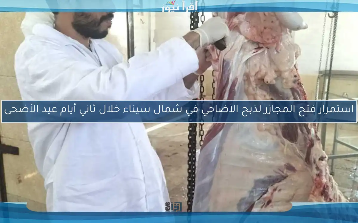 استمرار فتح المجازر لذبح الأضاحي في شمال سيناء خلال ثاني أيام عيد الأضحى