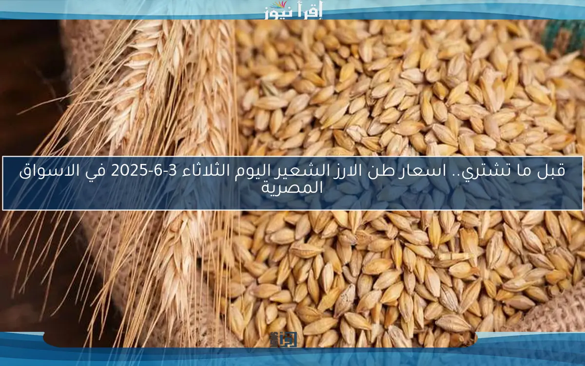 قبل ما تشتري.. اسعار طن الارز الشعير اليوم الثلاثاء 3-6-2025 في الاسواق المصرية