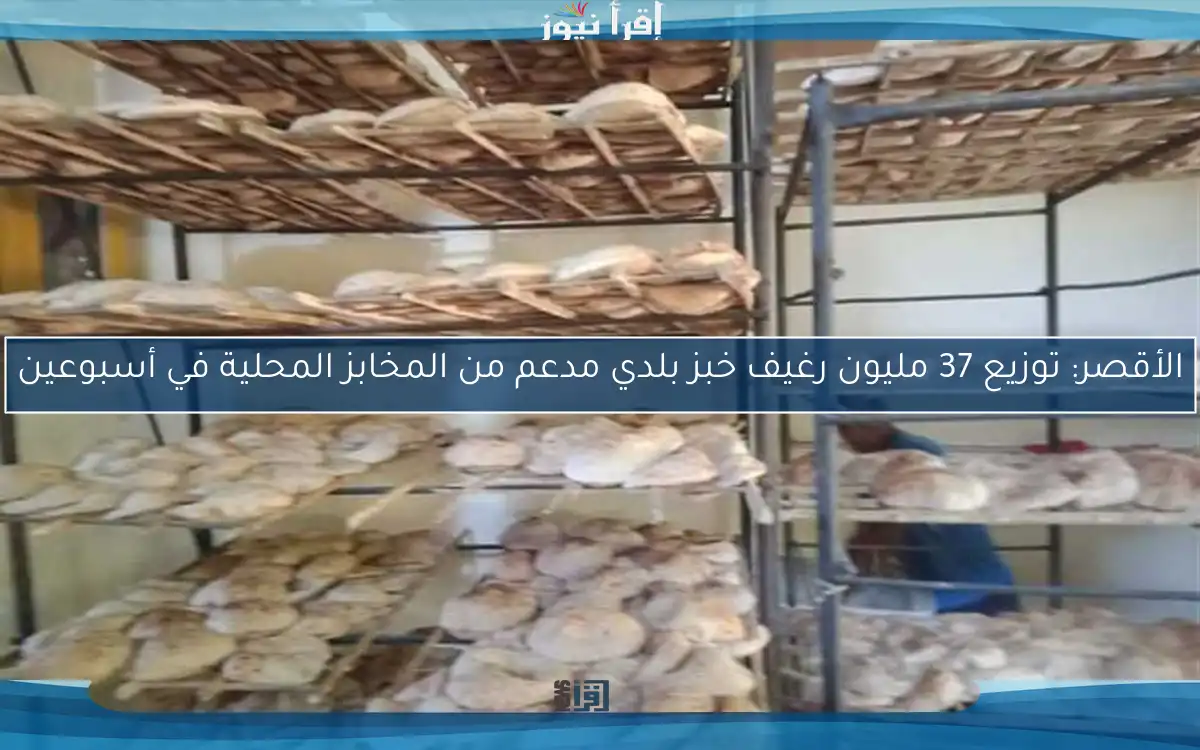 الأقصر: توزيع 37 مليون رغيف خبز بلدي مدعم من المخابز المحلية في أسبوعين
