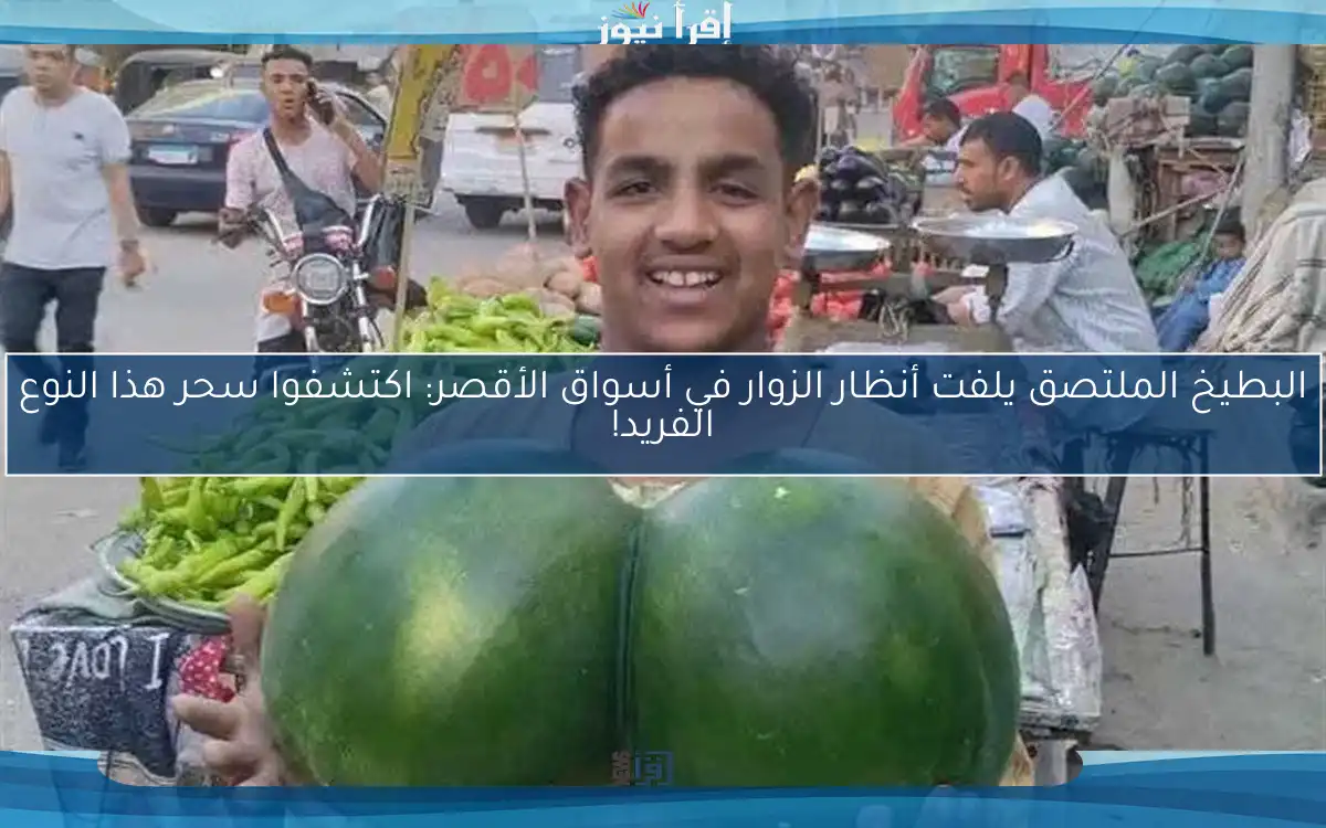 البطيخ الملتصق يلفت أنظار الزوار في أسواق الأقصر: اكتشفوا سحر هذا النوع الفريد!