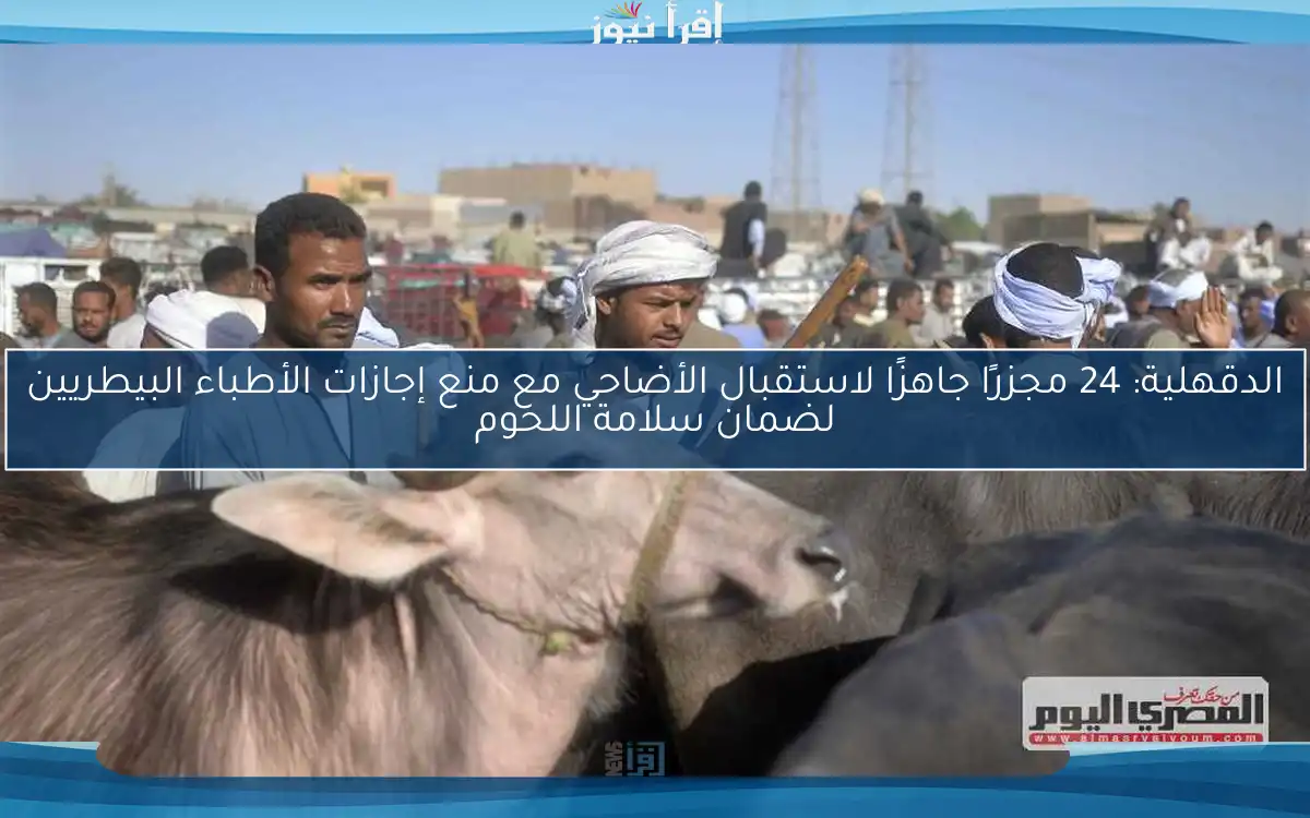 الدقهلية: 24 مجزرًا جاهزًا لاستقبال الأضاحي مع منع إجازات الأطباء البيطريين لضمان سلامة اللحوم