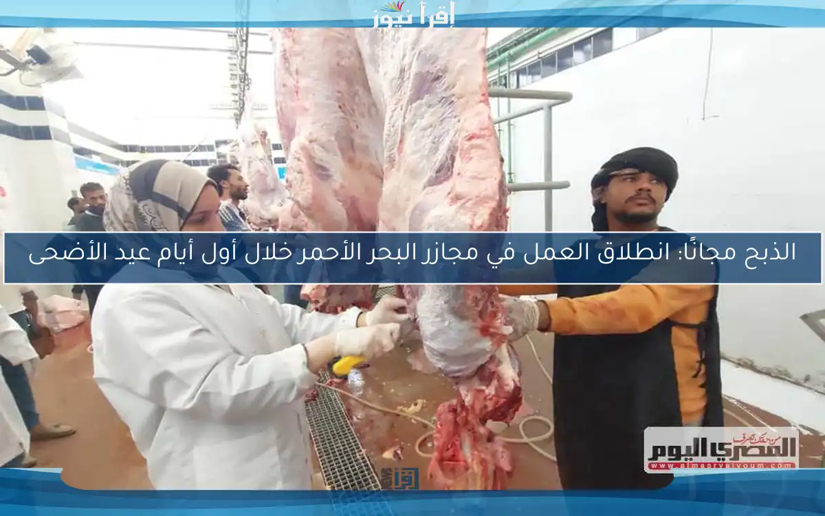 الذبح مجانًا: انطلاق العمل في مجازر البحر الأحمر خلال أول أيام عيد الأضحى