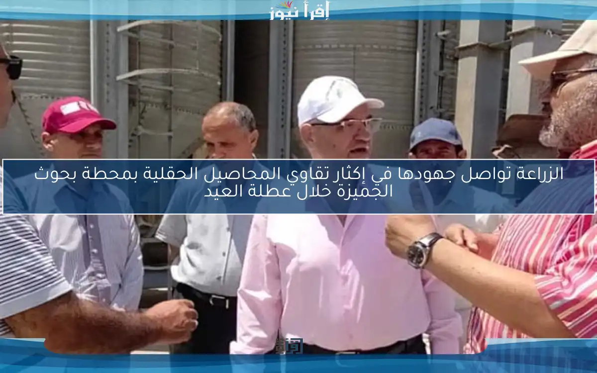 الزراعة تواصل جهودها في إكثار تقاوي المحاصيل الحقلية بمحطة بحوث الجميزة خلال عطلة العيد