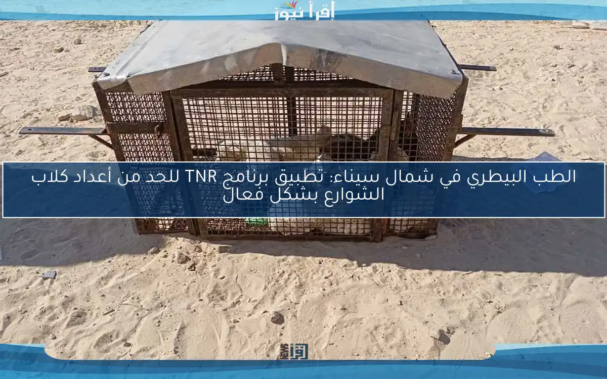 الطب البيطري في شمال سيناء: تطبيق برنامج TNR للحد من أعداد كلاب الشوارع بشكل فعال
