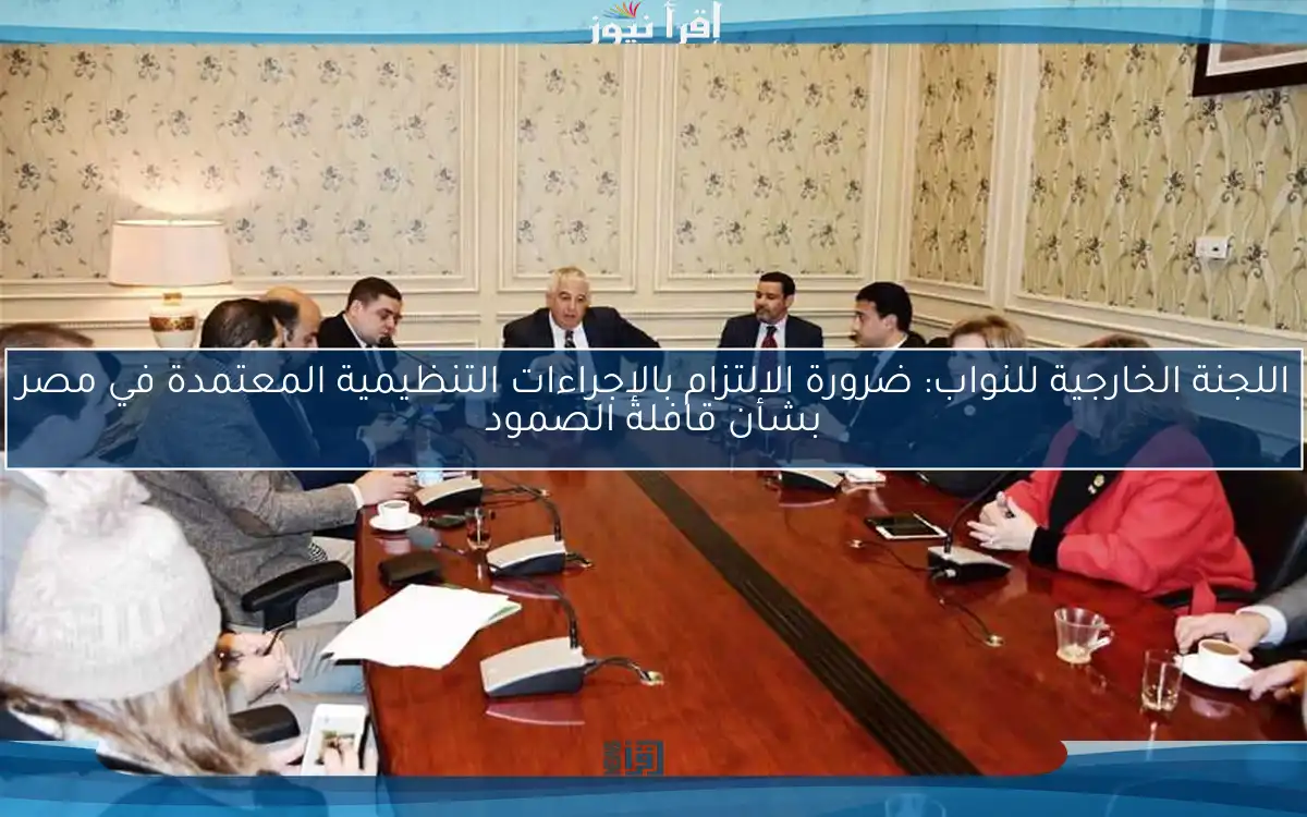 اللجنة الخارجية للنواب: ضرورة الالتزام بالإجراءات التنظيمية المعتمدة في مصر بشأن قافلة الصمود