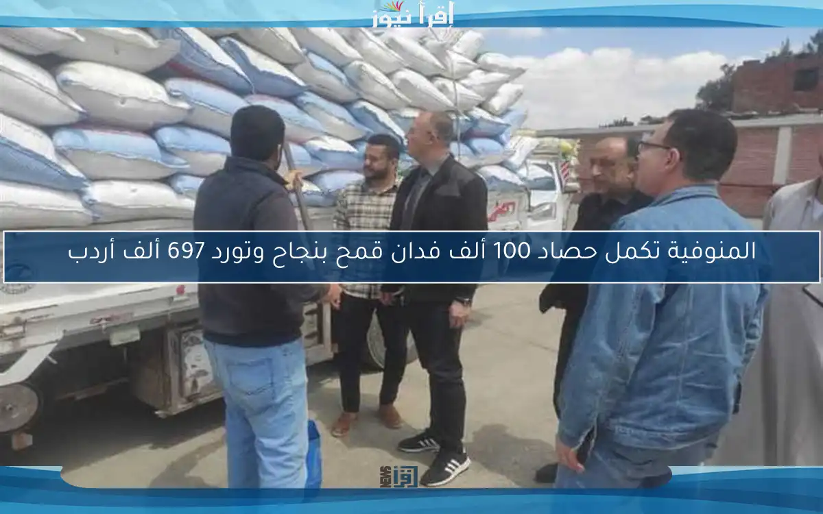 المنوفية تكمل حصاد 100 ألف فدان قمح بنجاح وتورد 697 ألف أردب