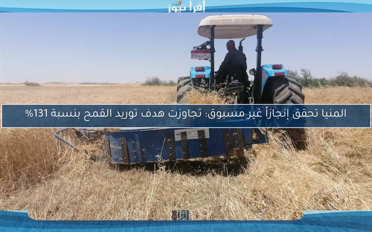 المنيا تحقق إنجازاً غير مسبوق: تجاوزت هدف توريد القمح بنسبة 131%