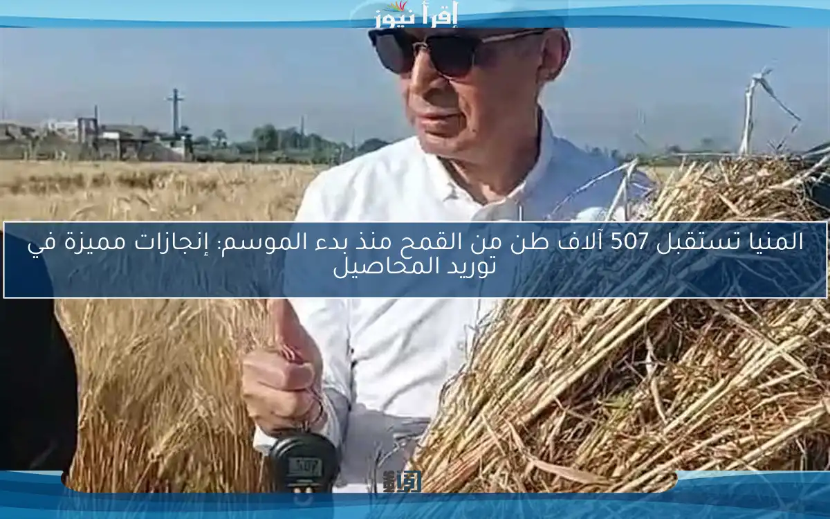 المنيا تستقبل 507 آلاف طن من القمح منذ بدء الموسم: إنجازات مميزة في توريد المحاصيل