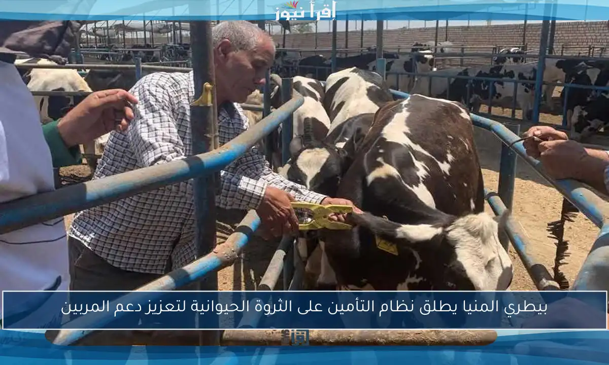 بيطري المنيا يطلق نظام التأمين على الثروة الحيوانية لتعزيز دعم المربين