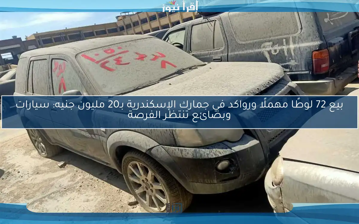 بيع 72 لوطًا مهملًا ورواكد في جمارك الإسكندرية بـ20 مليون جنيه: سيارات وبضائع تنتظر الفرصة