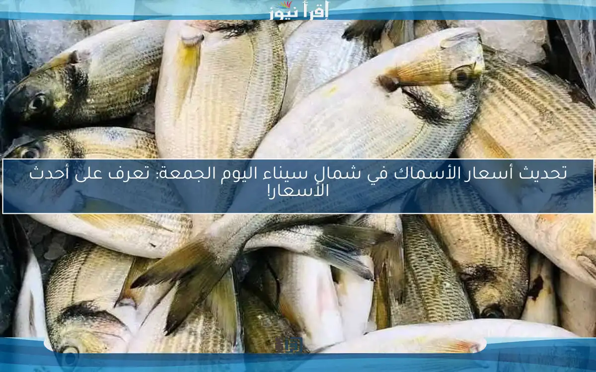 تحديث أسعار الأسماك في شمال سيناء اليوم الجمعة: تعرف على أحدث الأسعار!