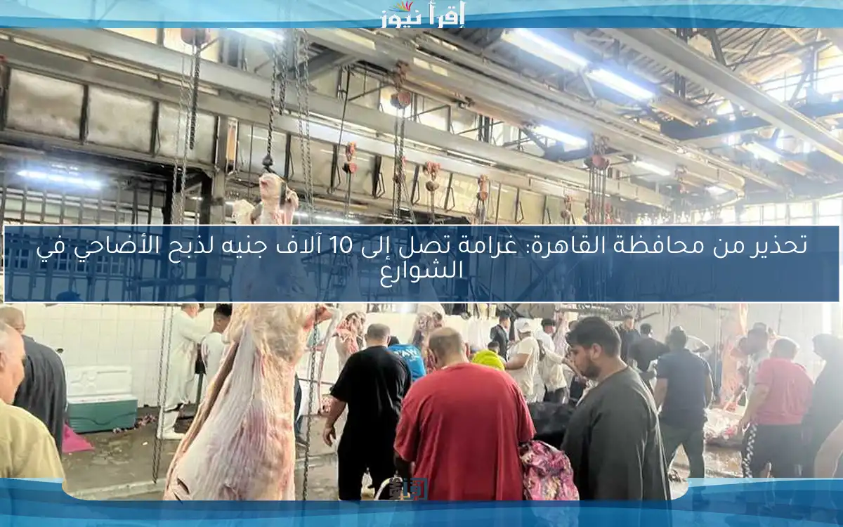 تحذير من محافظة القاهرة: غرامة تصل إلى 10 آلاف جنيه لذبح الأضاحي في الشوارع