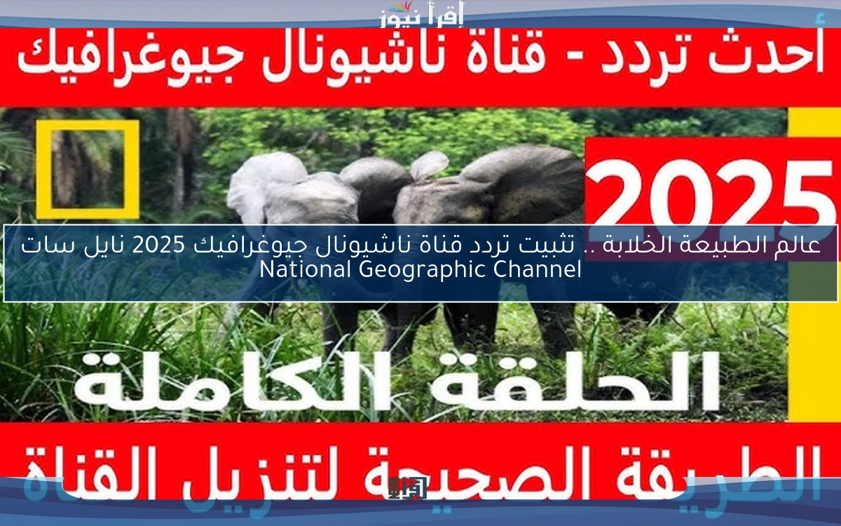 عالم الطبيعة الخلابة .. تثبيت تردد قناة ناشيونال جيوغرافيك 2025 نايل سات National Geographic Channel